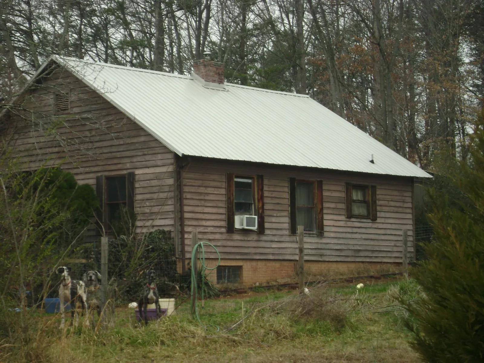 White metal roof on an old wood sided farmhouse, from a Asphalt Shingle Roof Repair job in Huntington